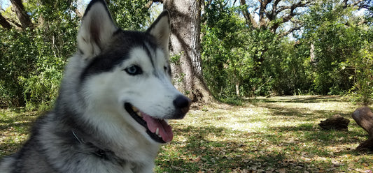 Keeping Cool this Summer