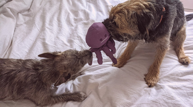 Octo - Stretchy Legs Octopus